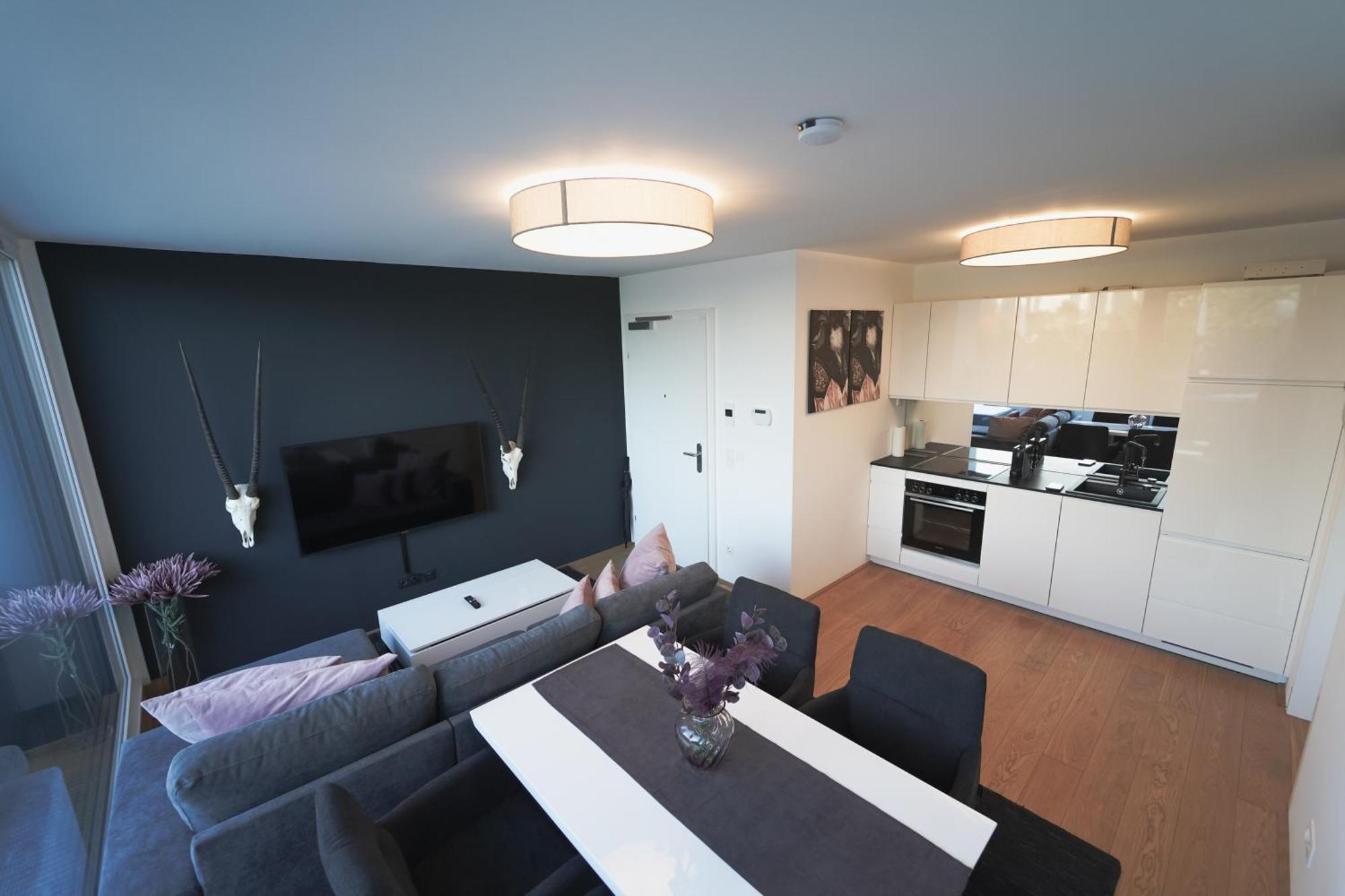 Modern Stylish Design Apartment With Free Parking Emily Vienna Luaran gambar